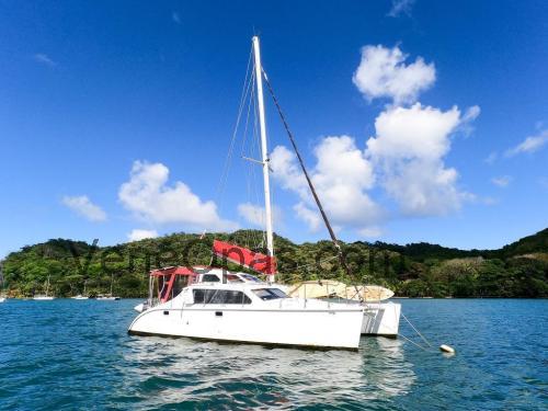 TomCat 9.7 Tekniset tiedot ja arvostelut